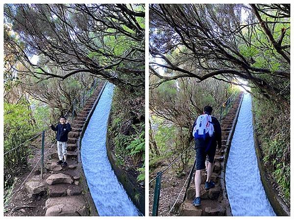 Madeira: 老少咸宜的Hiking路線 PR 6.2 