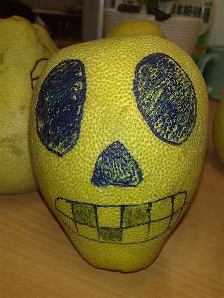 20100924453.jpg