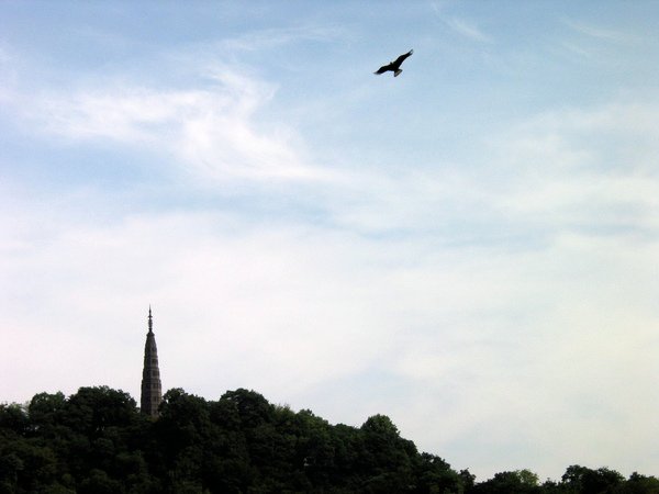 IMG_0161.JPG
