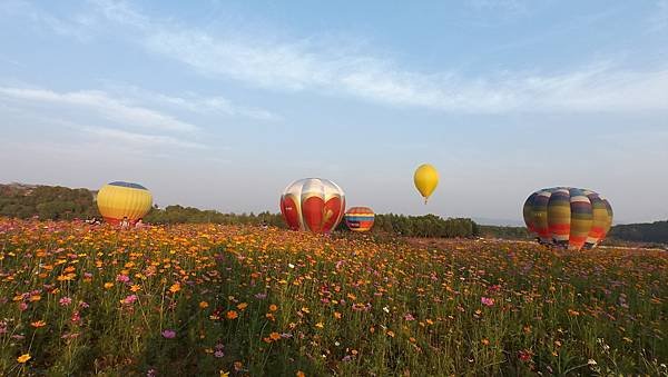 格式工廠100_4130.jpg