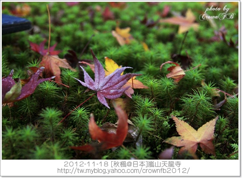 _MG_1806a 2012-11-18天龍寺.JPG