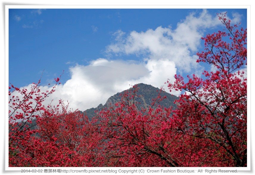 _MG_9788惠蓀.JPG