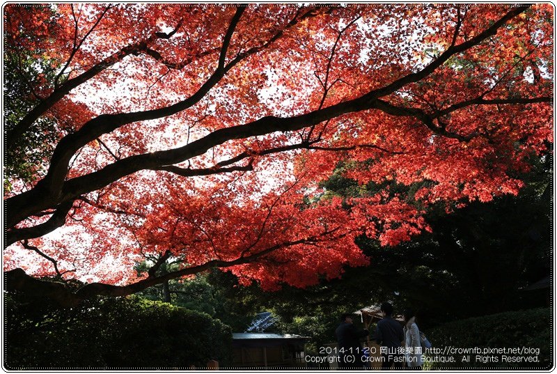 IMG_5507a 2014-11-20岡山後樂園.JPG