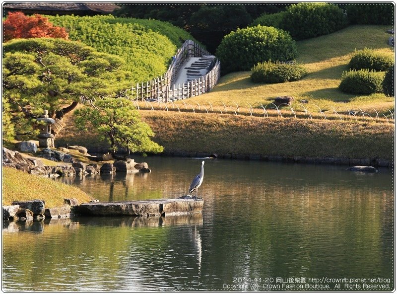 IMG_5543a 2014-11-20岡山後樂園.JPG