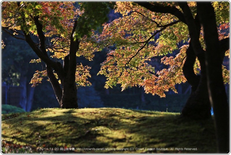 IMG_5706a 2014-11-20岡山後樂園.JPG