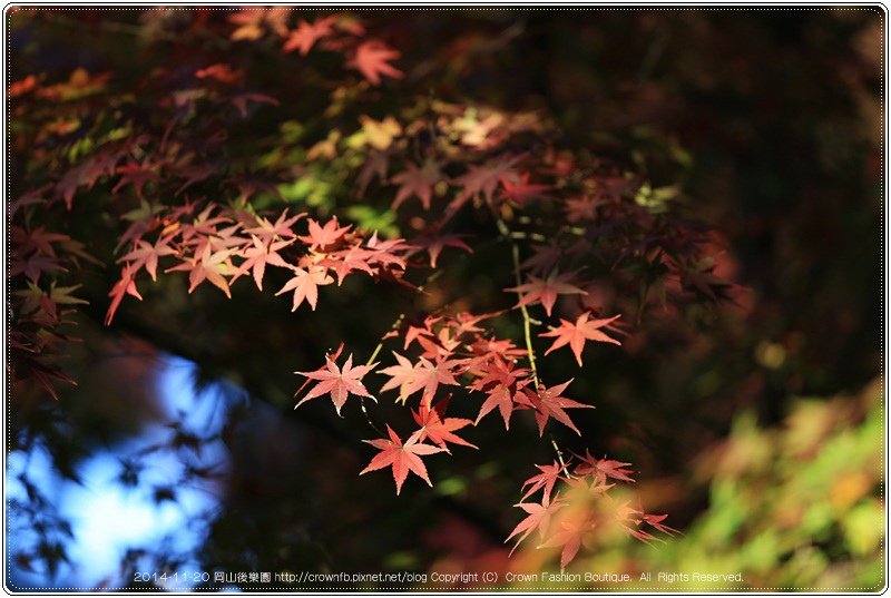 IMG_5724a 2014-11-20岡山後樂園.JPG