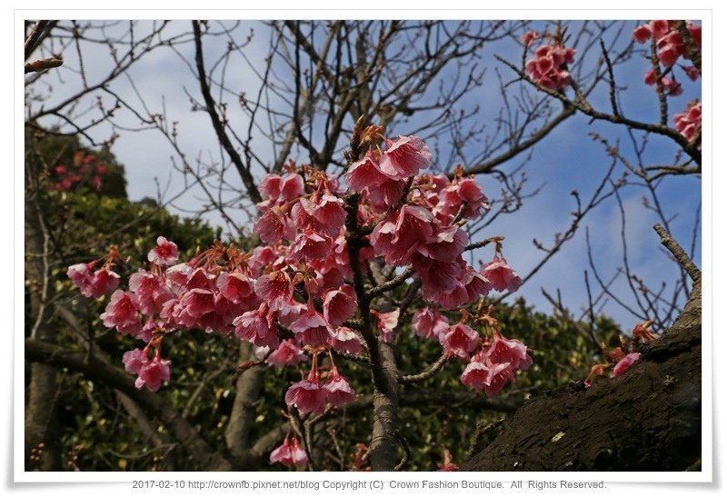 5-1 IMG_1855 鹿兒島.JPG