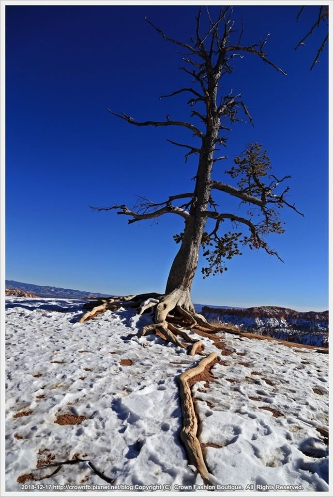 IMG_6960a 12-33 Bryce Canyon.JPG