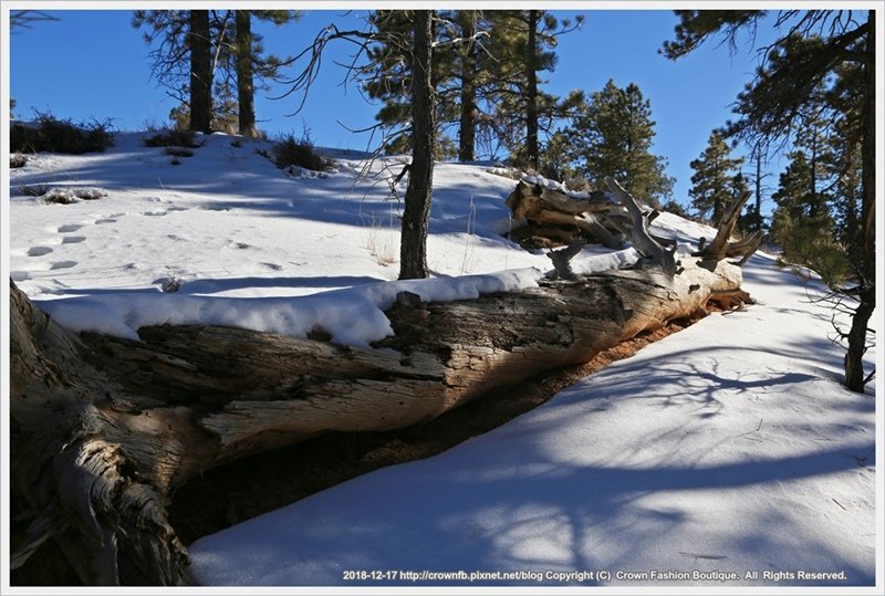 IMG_6960a 12-60 Bryce Canyon.JPG