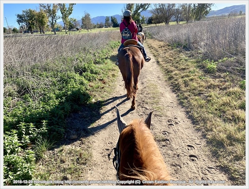 IMG_5957Horseback riding.jpg