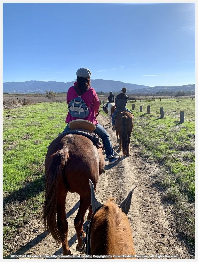 IMG_6002Horseback riding.jpg