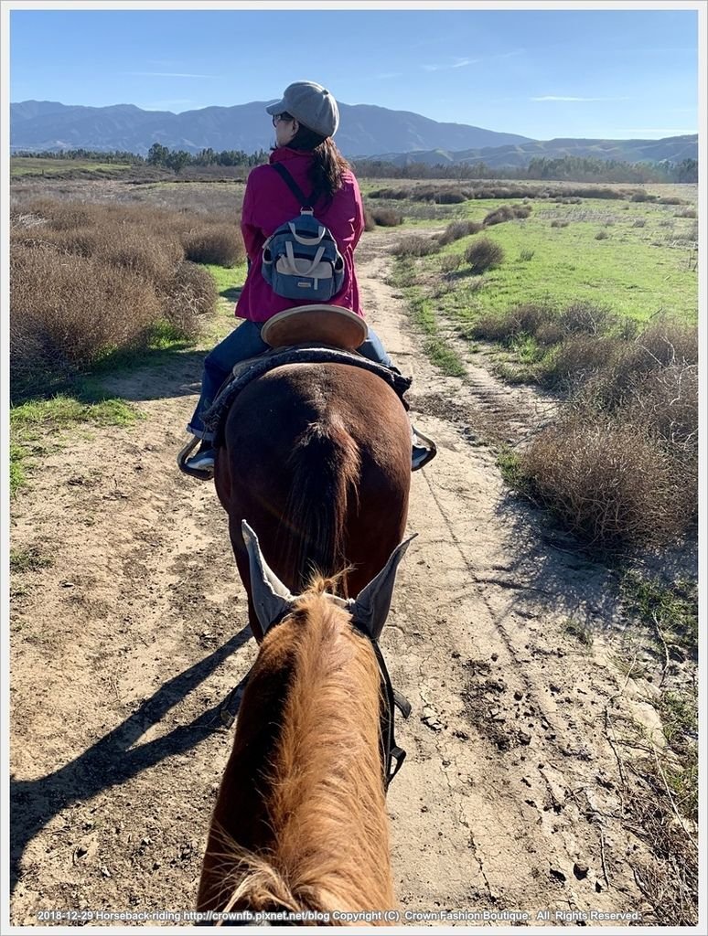 IMG_6017Horseback riding.jpg