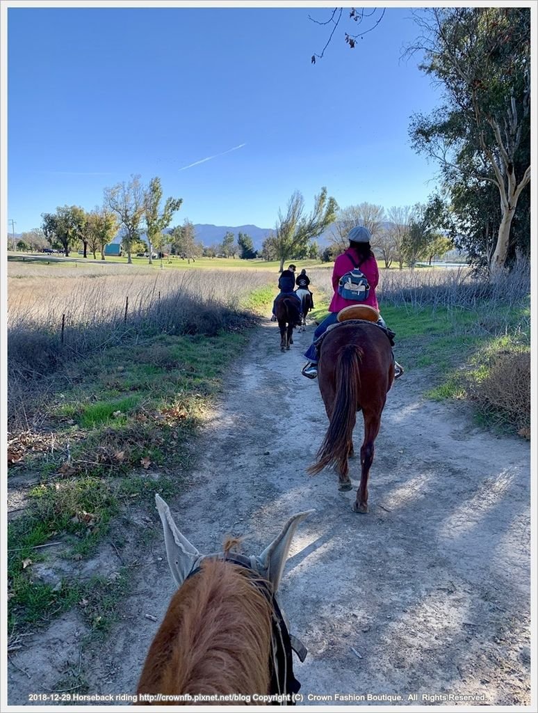 IMG_5955Horseback riding.jpg