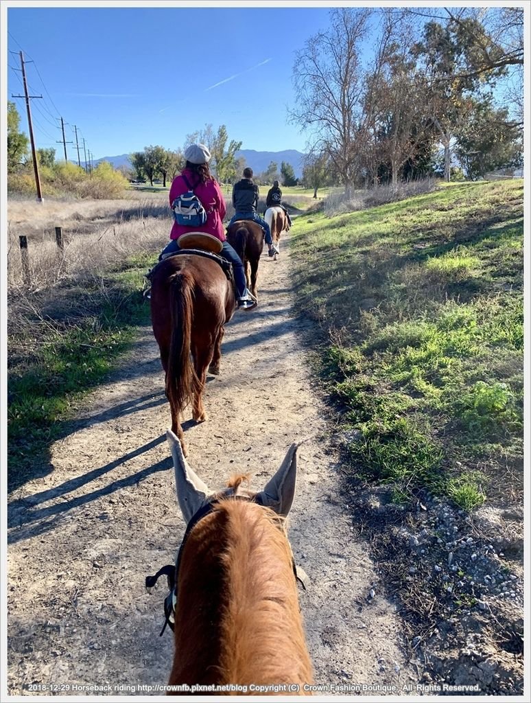 IMG_5948Horseback riding.jpg