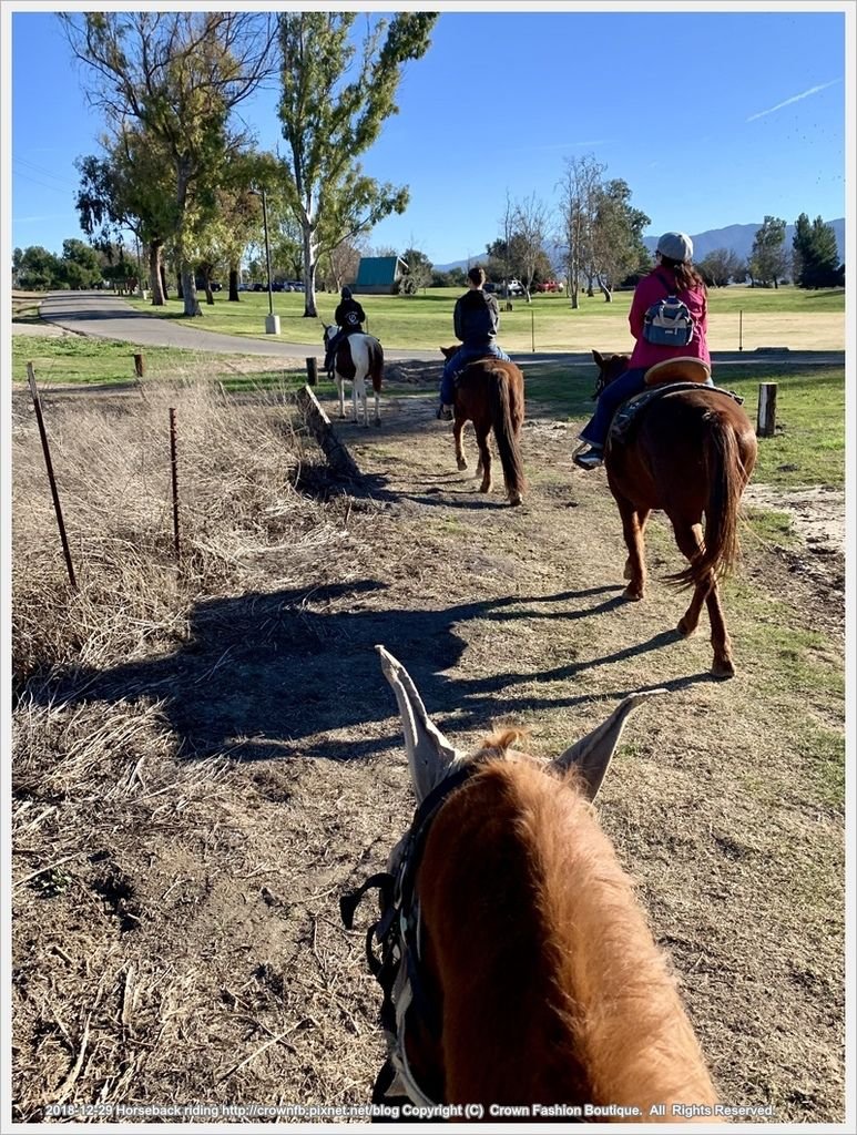 IMG_5963Horseback riding.jpg