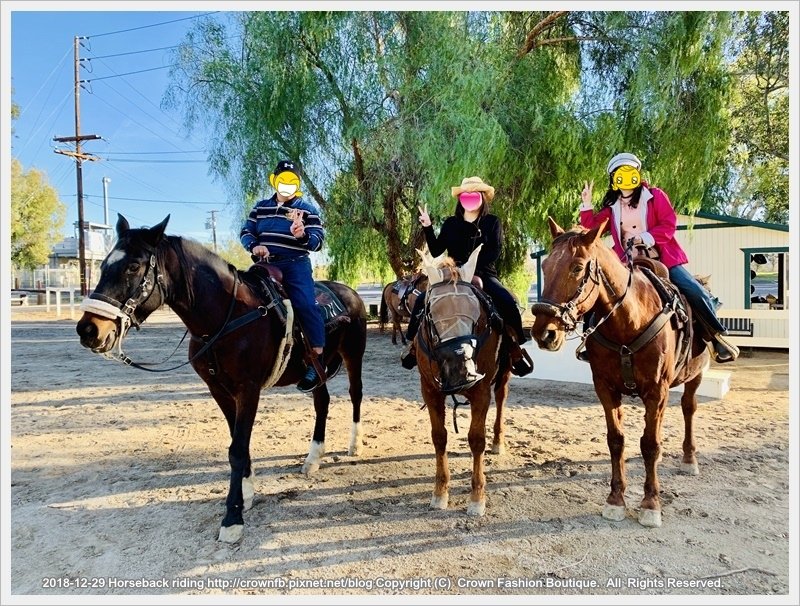 IMG_6104Horseback riding a.jpg