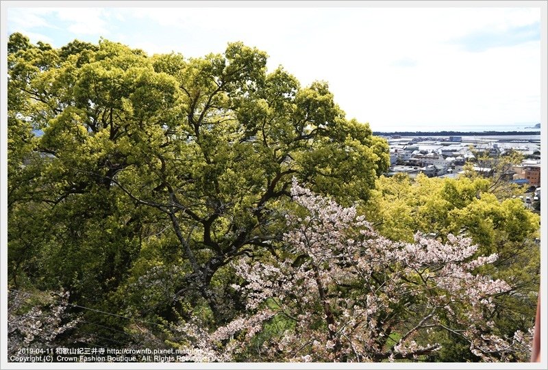 IMG_0340 2019-4-11紀三井寺.JPG