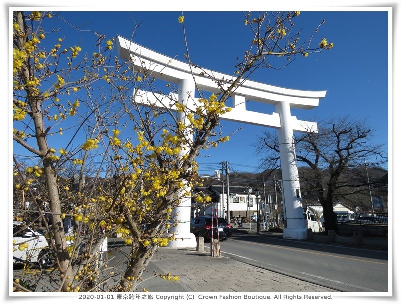 2020-1-1 東京跨年之旅 12.JPG