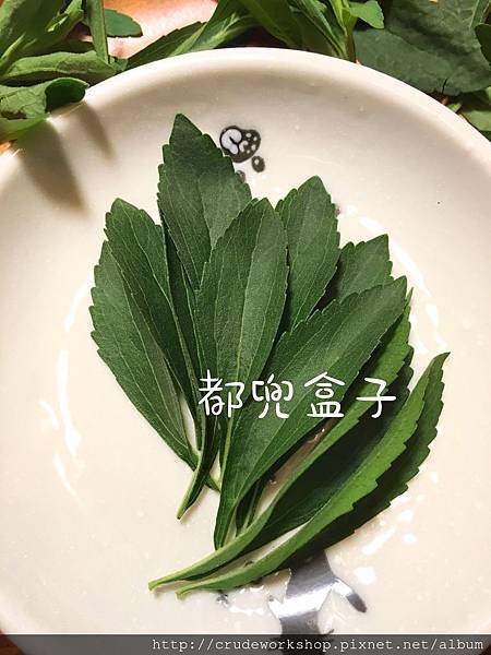 都兜盒子部落格_180523_0285