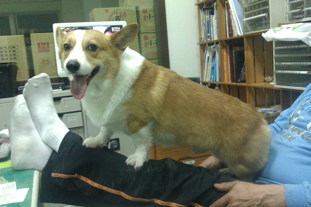 IMAG0387.jpg