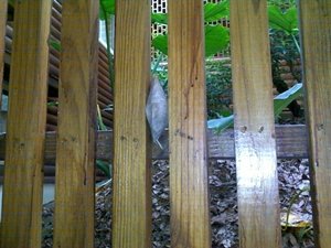 201007194636.jpg
