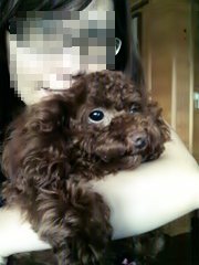 201007184506.jpg