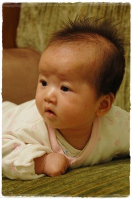4-head20417.JPG