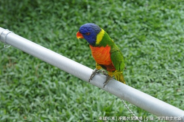 20110709-DSC06215淨園.JPG