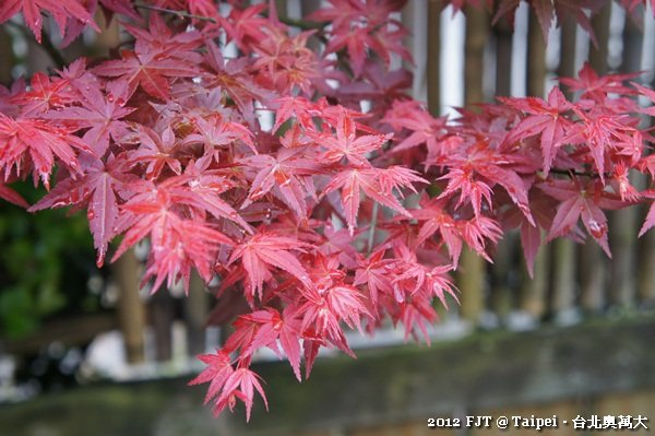 20120408-DSC03935台北奧萬大