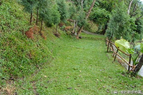 20101114-048小路.JPG