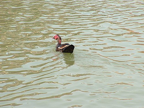 1000313-21.jpg