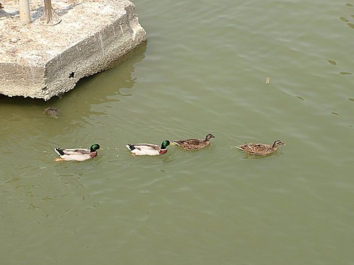 1000313-25.jpg