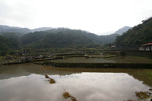 IMGP1222
