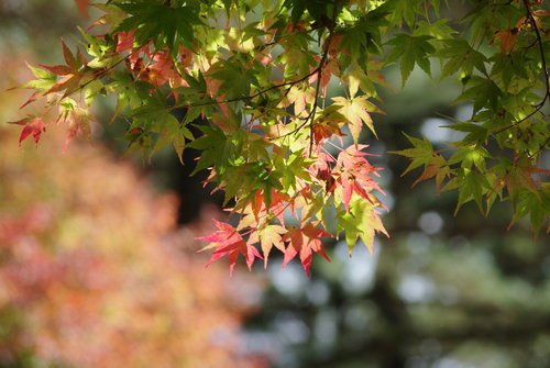 IMGP2358.JPG