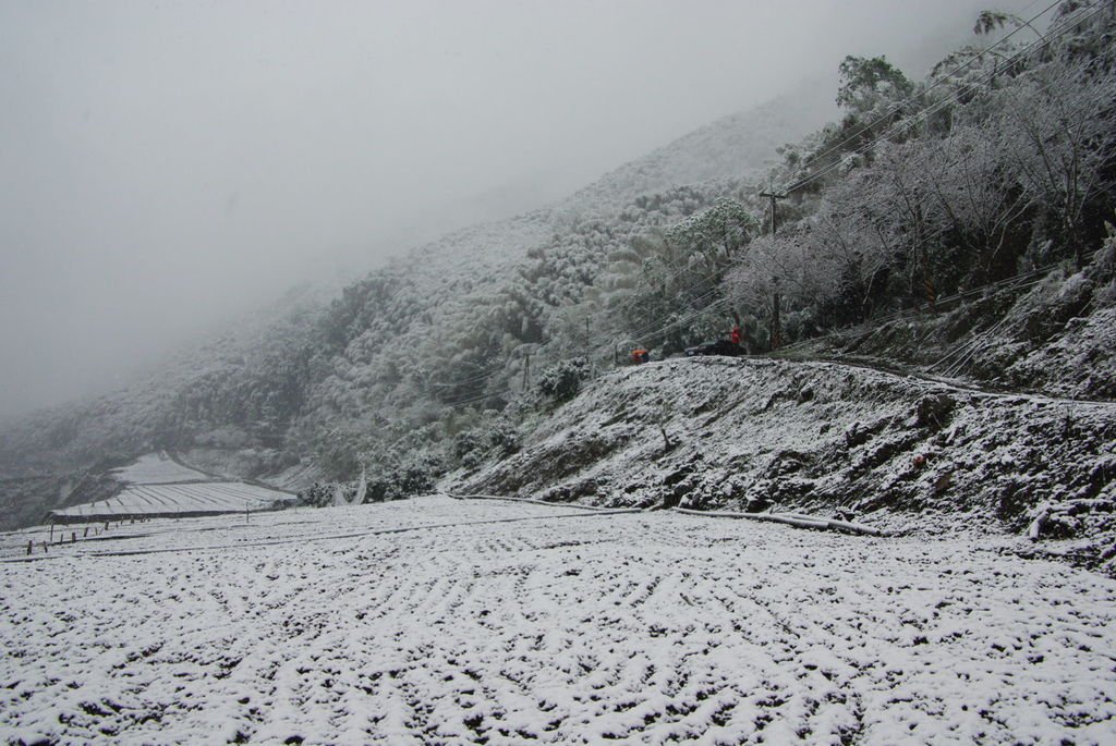 IMGP0732.JPG