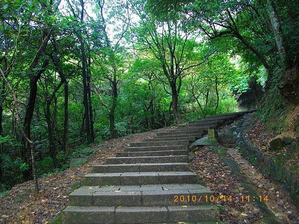 IMGP2546.JPG