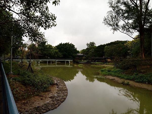 IMG_20181117_135324.jpg