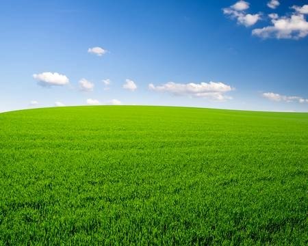 37912944-sky-and-grass-field-background.jpg