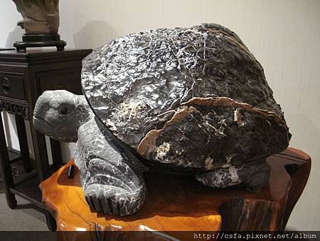 T100002-3.JPG