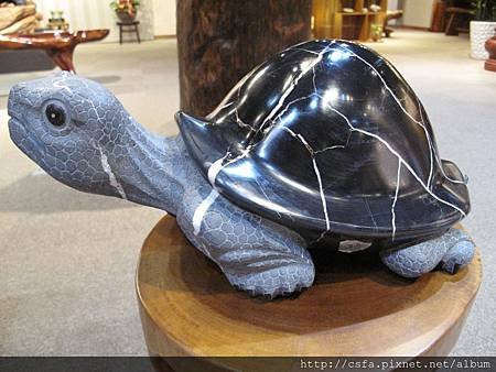 T200046-3.JPG