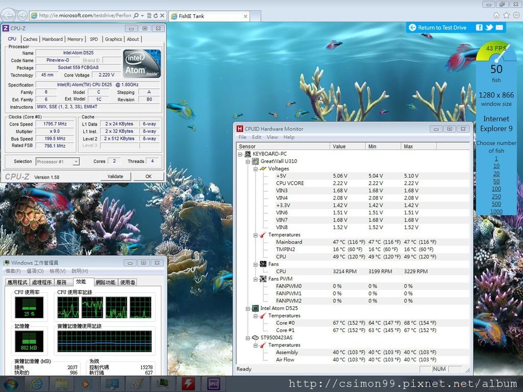 IE9-50FISH.jpg