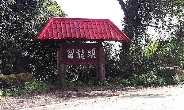 IMAG2561