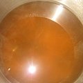 IMG_1457