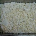 IMG_1448