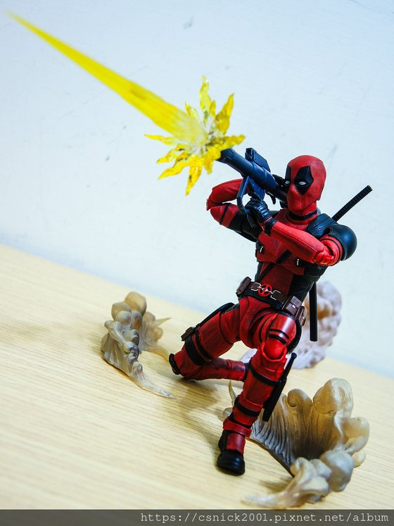 DSCN7806.jpg