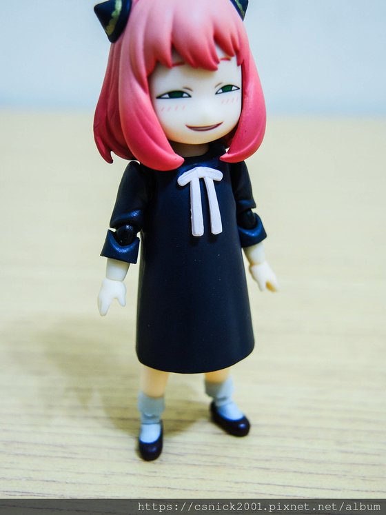 DSCN8560.jpg