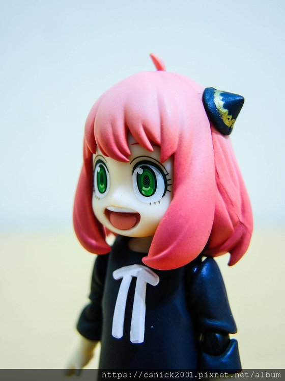 DSCN8902.jpg