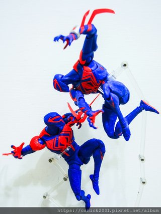 DSCN8365.jpg