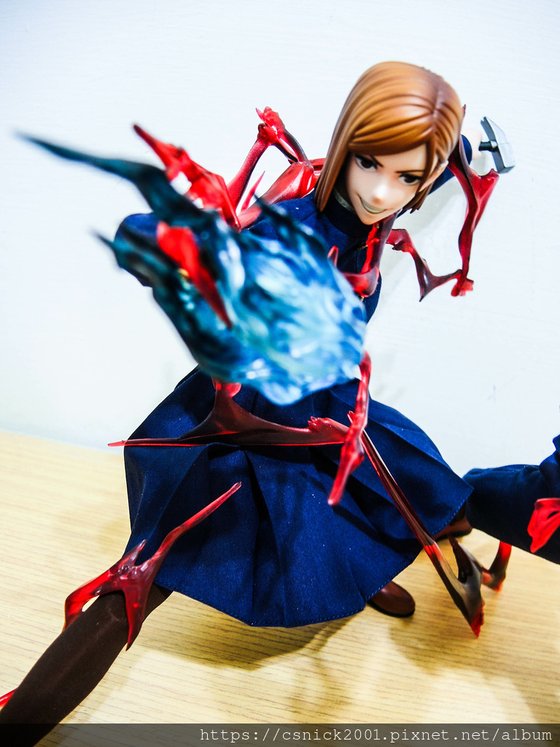 DSCN9811.jpg