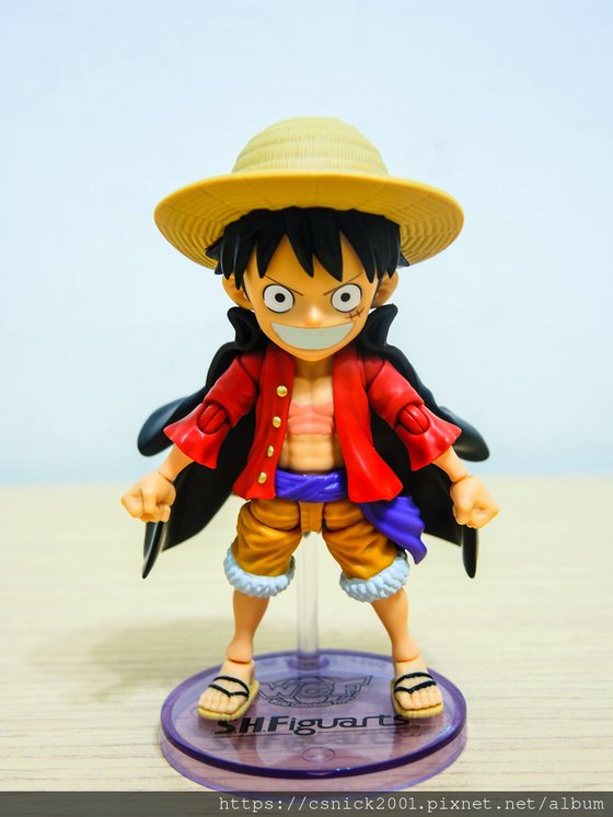 DSCN4740.jpg